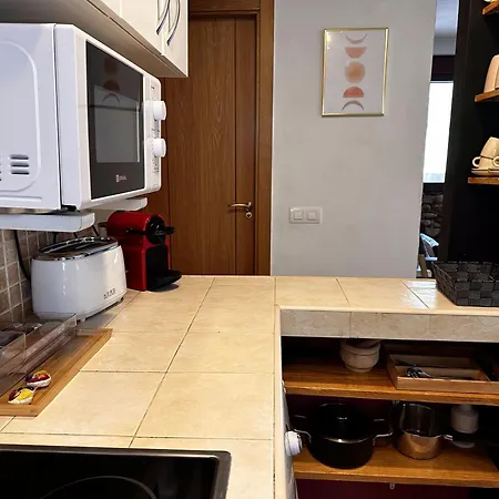 公寓 Gredos Starlight House 米哈雷斯