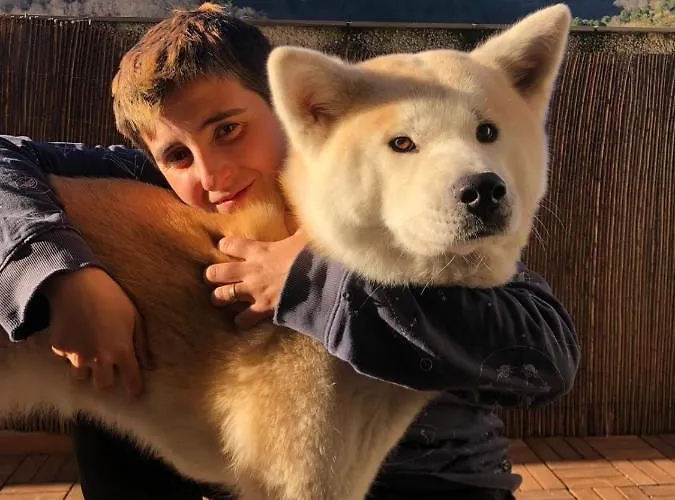 Gredos Starlight House 아파트 Mijares (Castile and Leon)