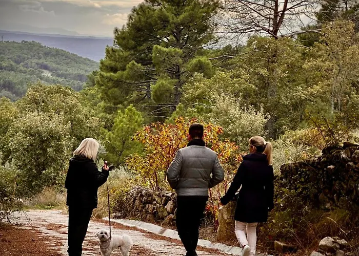 아파트 Gredos Starlight House